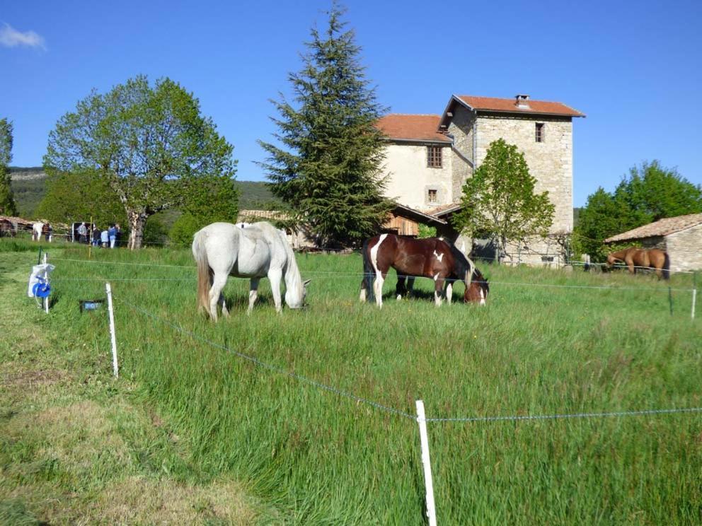 Le Relais Des Baronnies Ξενοδοχείο Montjay  Εξωτερικό φωτογραφία