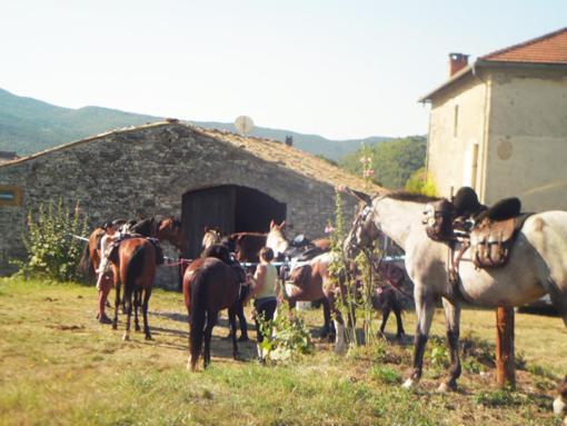 Le Relais Des Baronnies Ξενοδοχείο Montjay  Εξωτερικό φωτογραφία